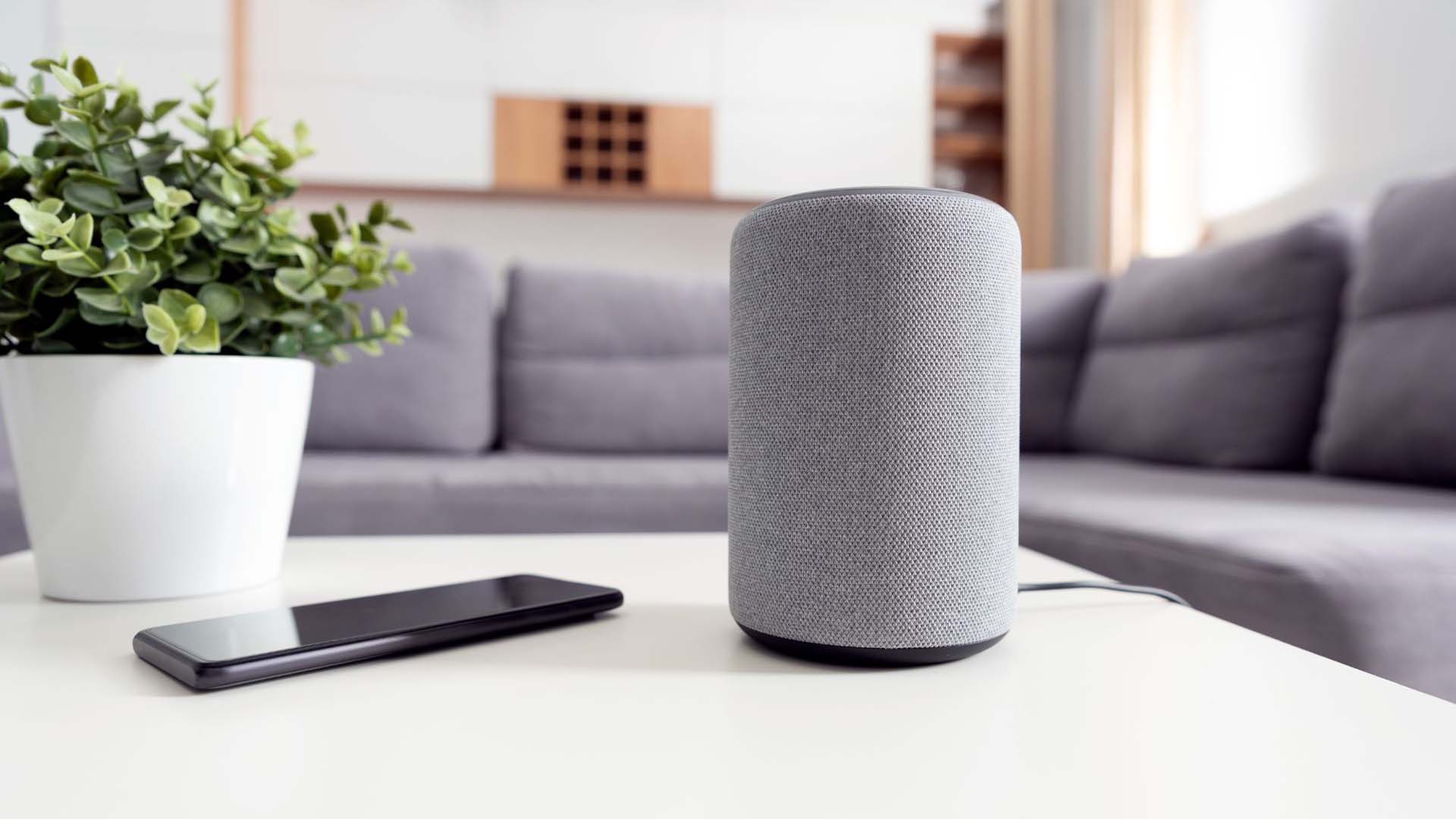 A smart speaker connects to the internet and can be controlled by a voice assistant