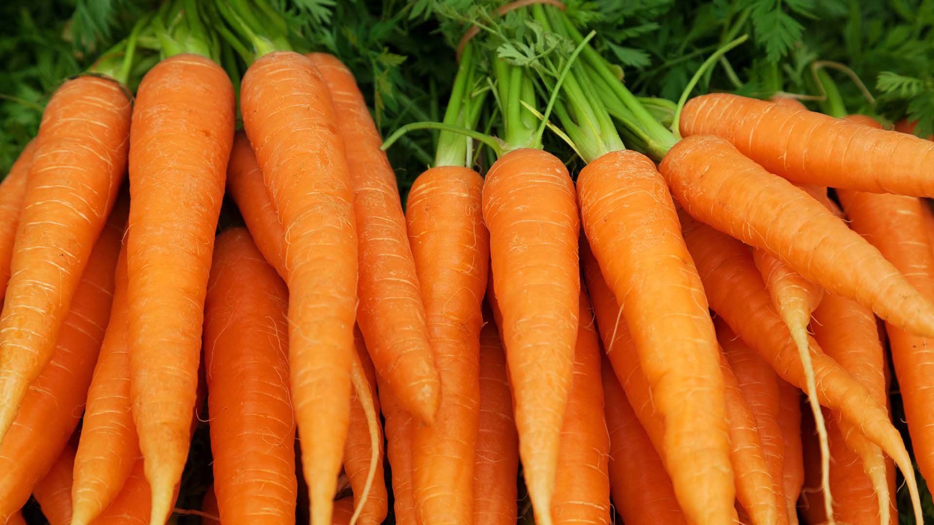 Carrots