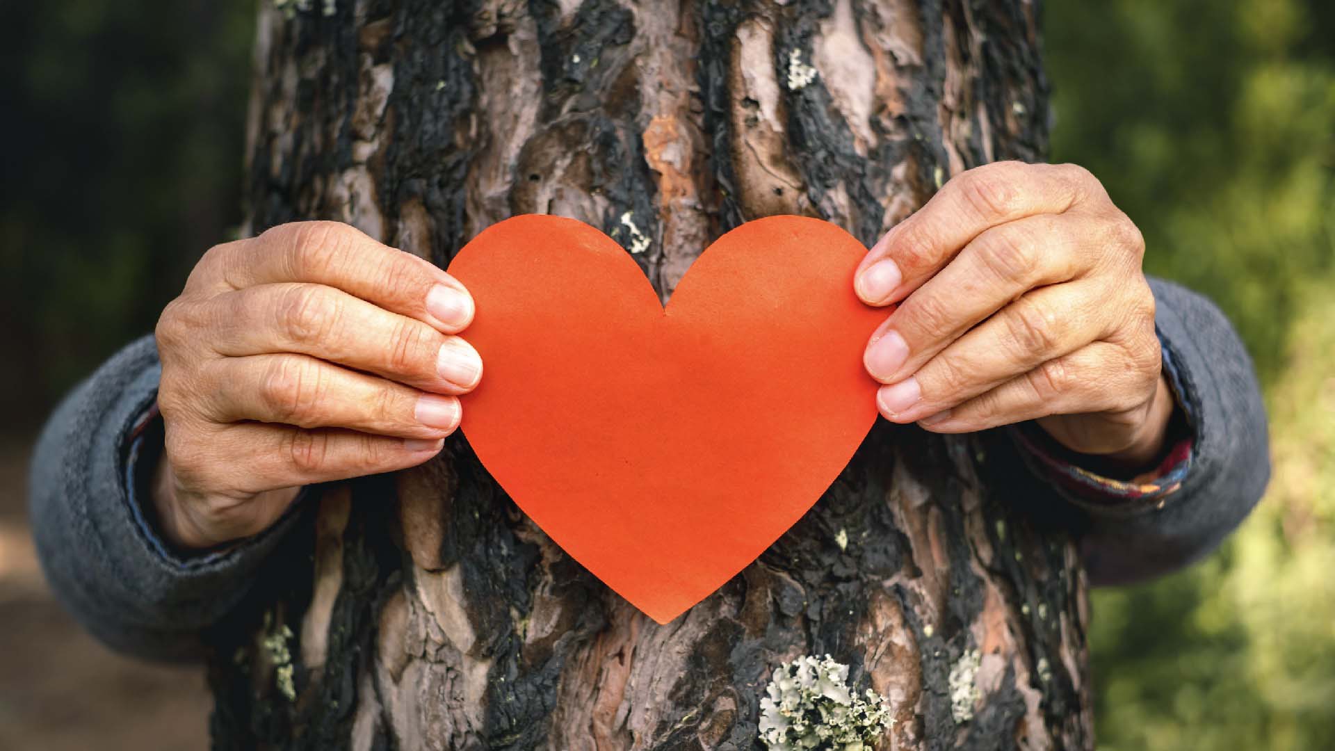 Arms around a tree trunk holding a red paper heart