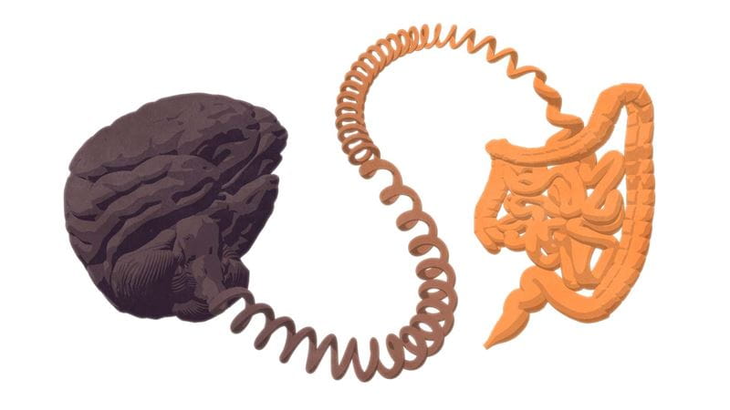 Gut health connected to mental health