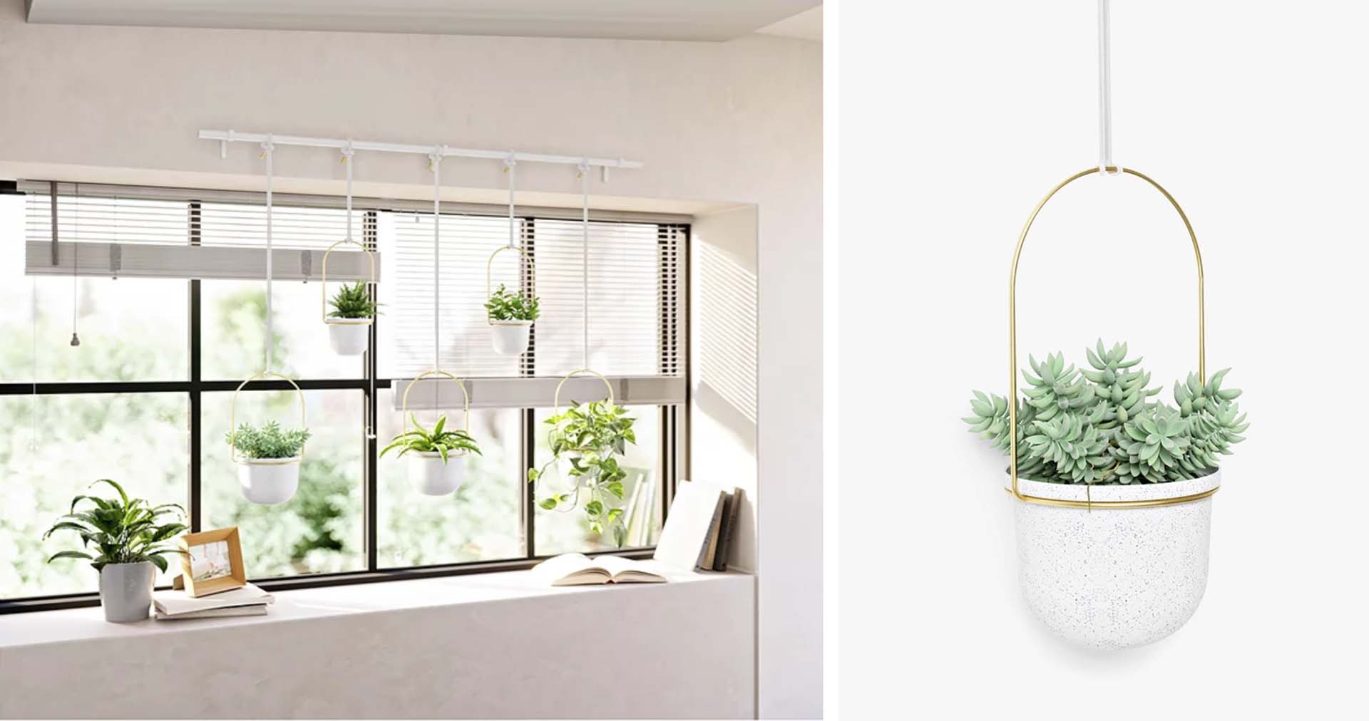 A modern window with a hanging plant arrangement