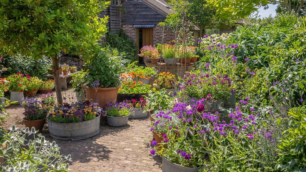 Massed containers in the Dutch Yard