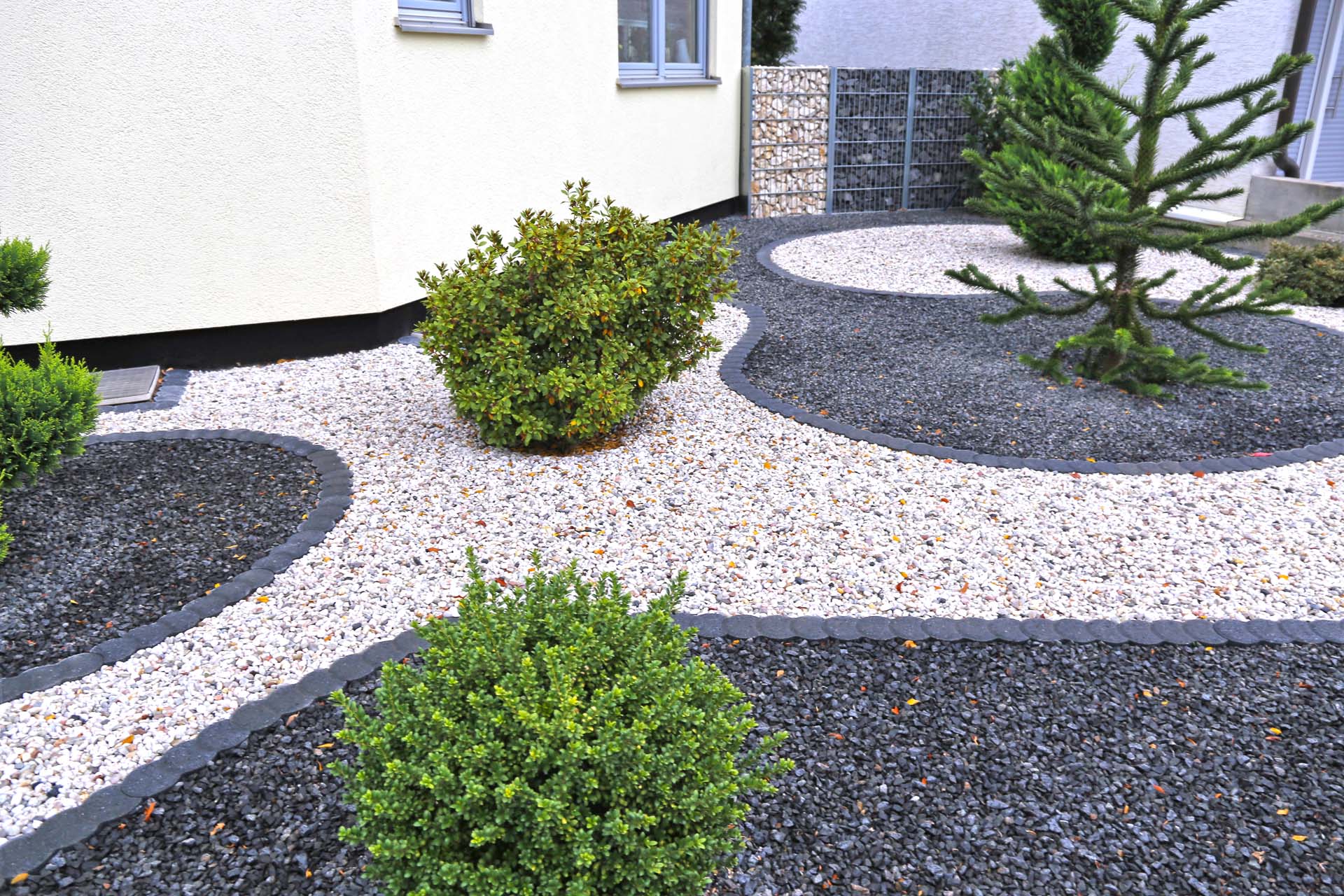 A two-tone gravel garden dotted with plants
