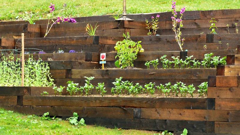A tiered vegetable patch made of wood