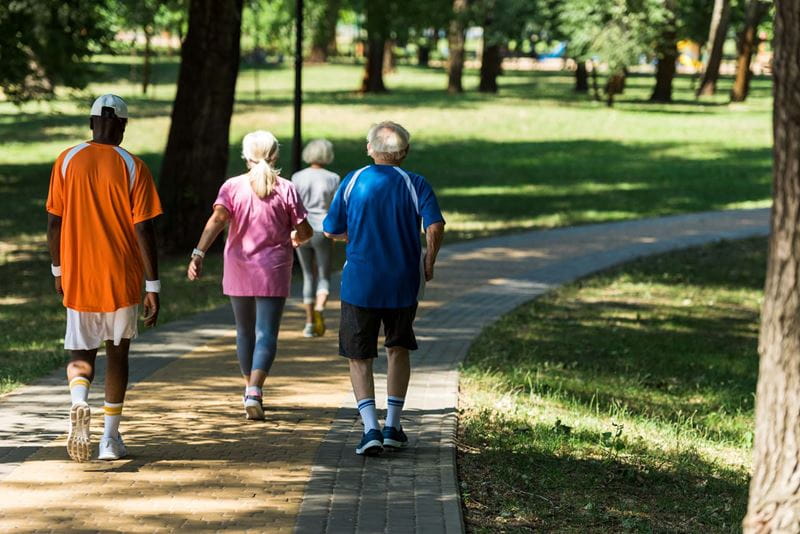 The backs of a group of people walking in a park