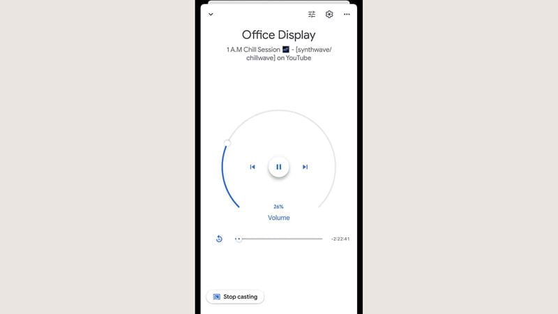 display for a Google Nest