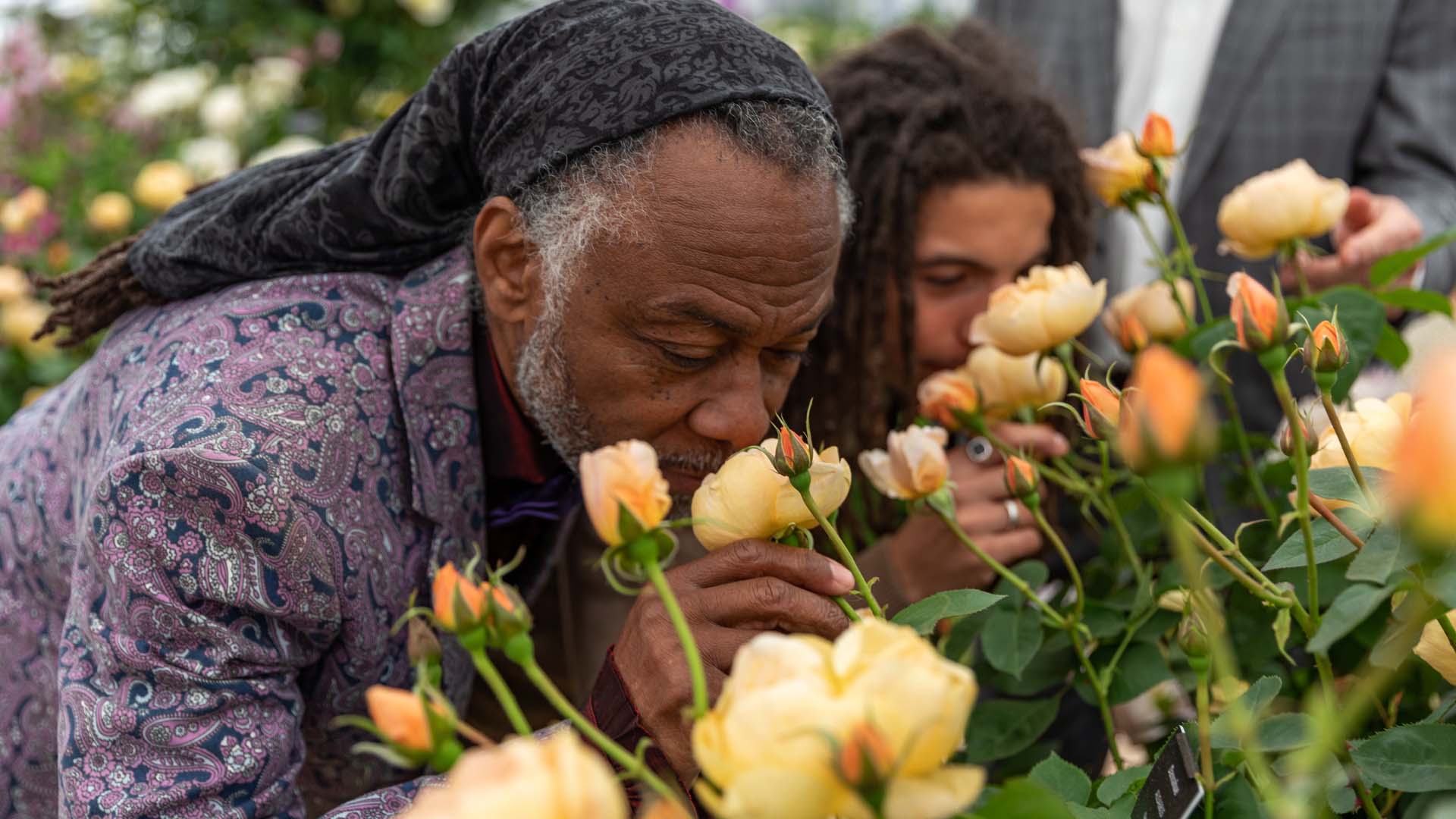 'Dannahue' has been 12 years in development