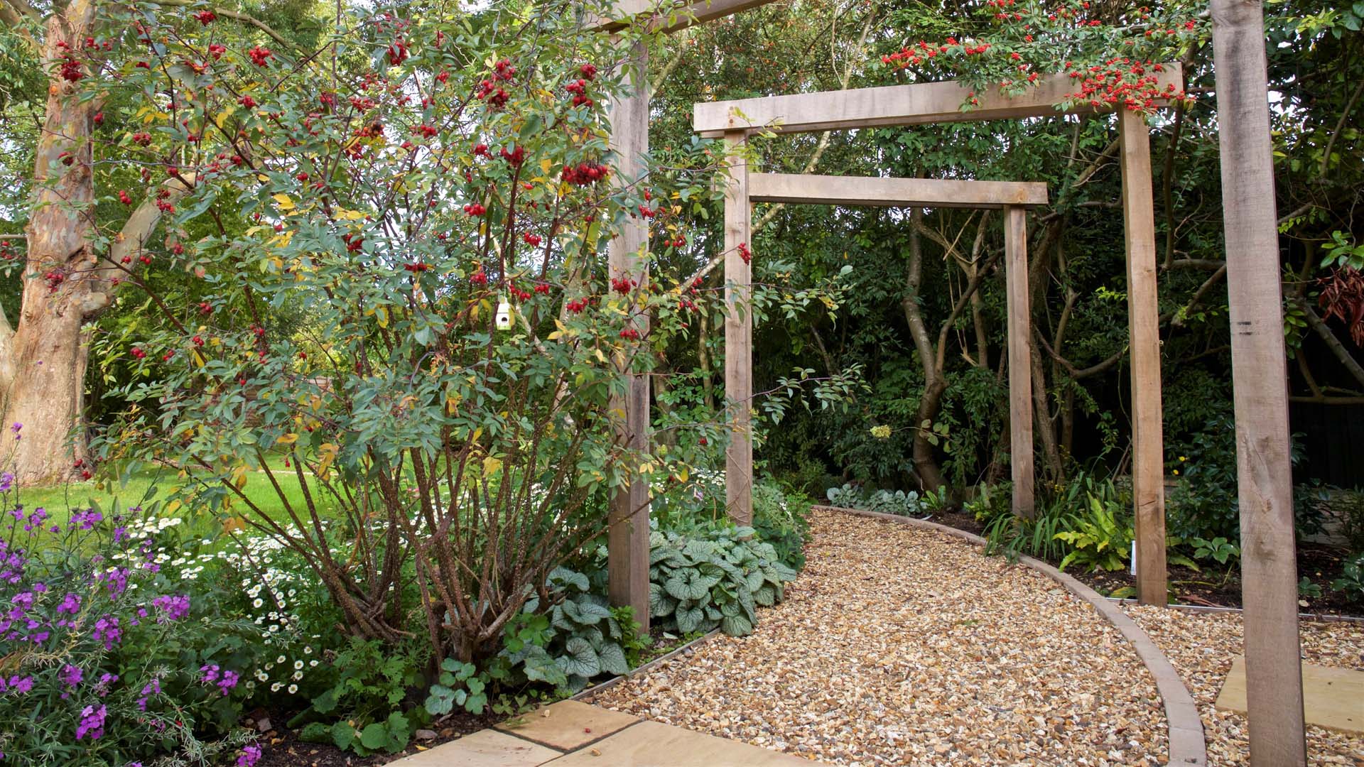 Pergola over a shady garden path