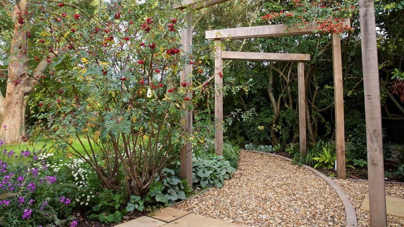 Pergola over a shady garden path