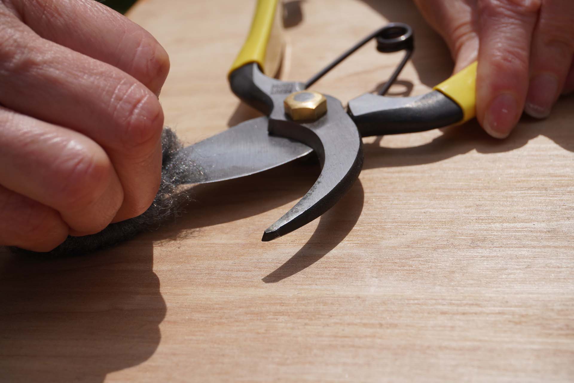 a close up of someone cleaning a pair of secateurs