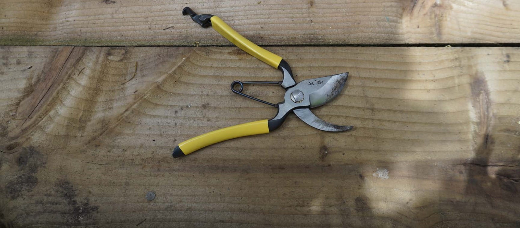 A pair of secateurs open on a wooden surface | Saga