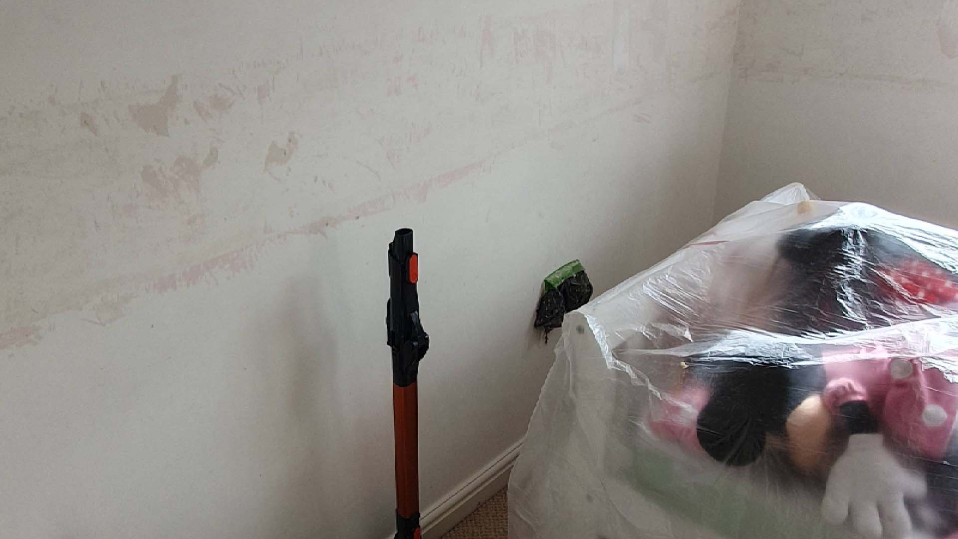 A wall in the process of being decorated; paint peeling off a bedroom wall