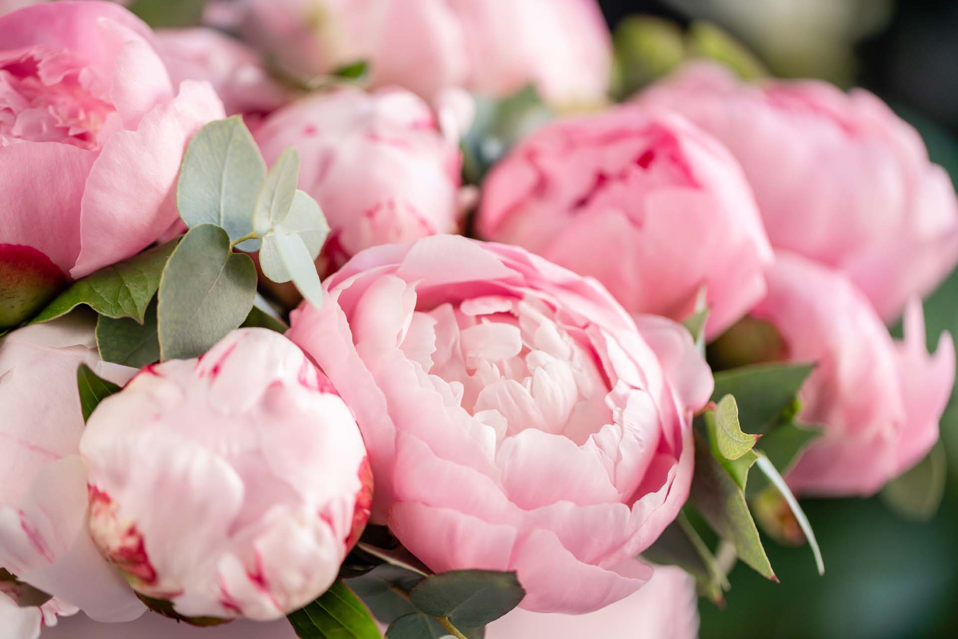 How to not ruin your flowers