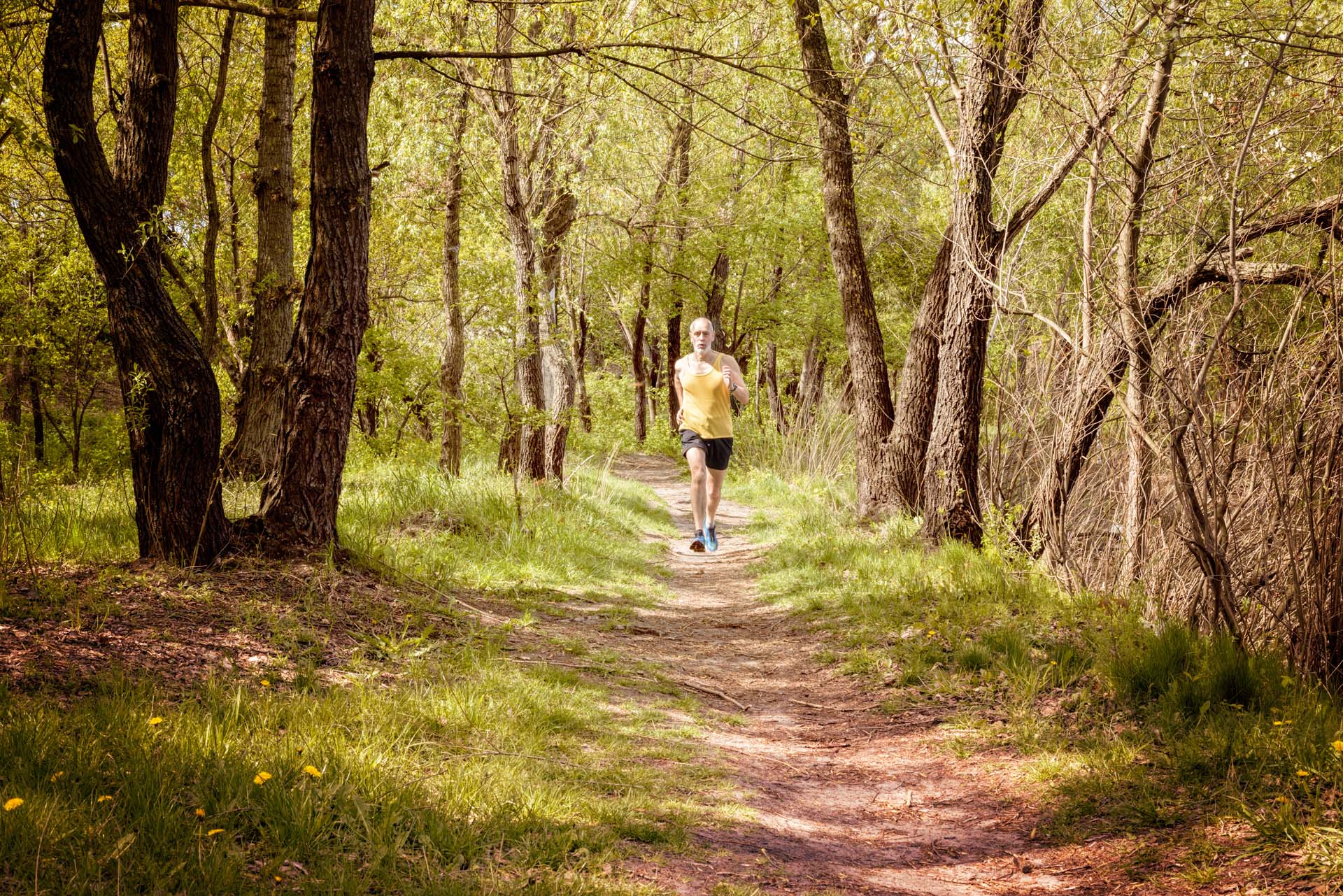 A man in sports gear running along a path through the forest on a sunny day