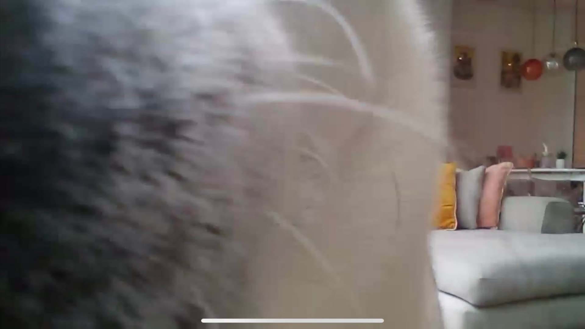 Extreme close up of a dog's nose