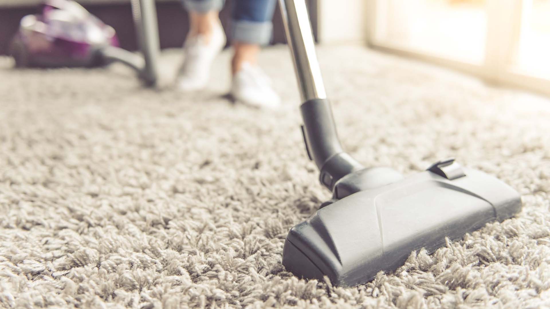 Close up of a vacuum head on a carpet