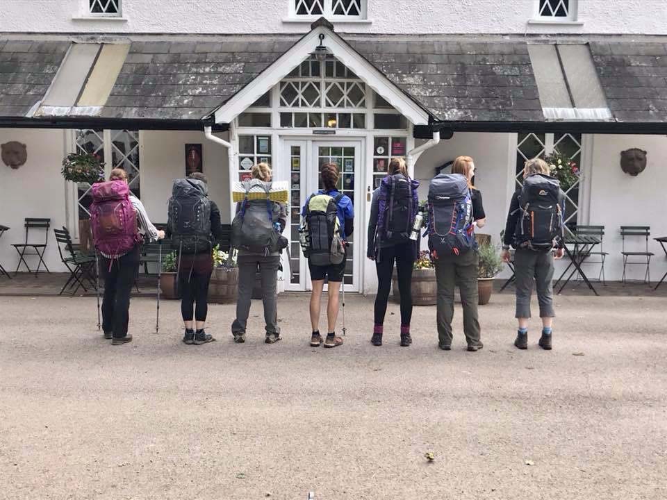 A group of hikers facing away, displaying their various backpacks