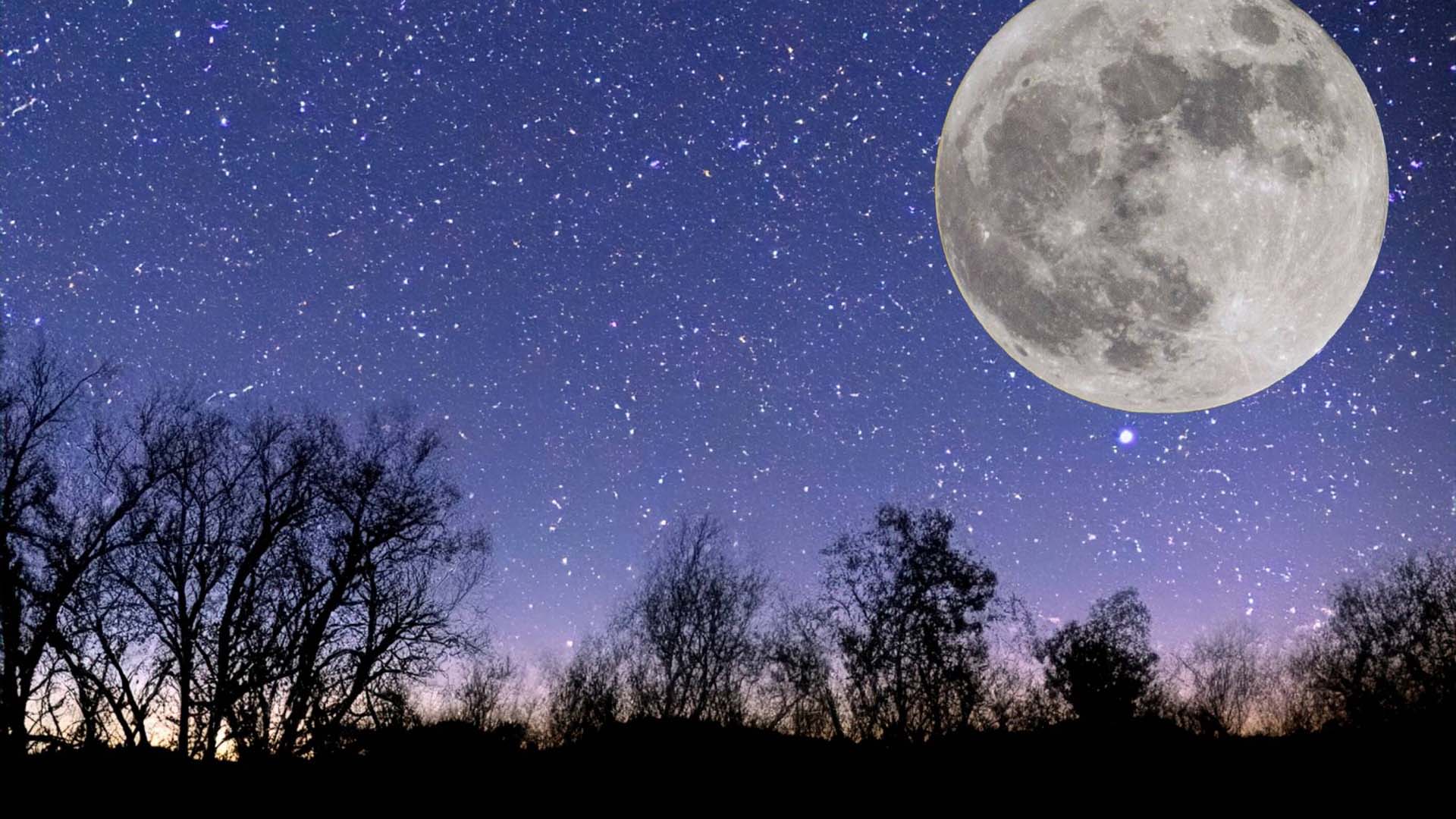 a huge moon in the night sky with the silhouette of trees