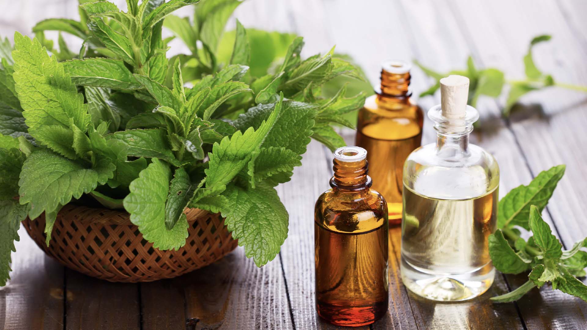 Essential oils next to a leafy green plant
