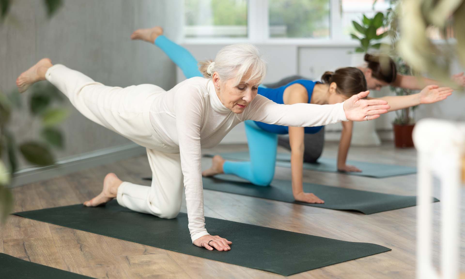 A group of women doing pilates, all in the four point kneeling position on their mats