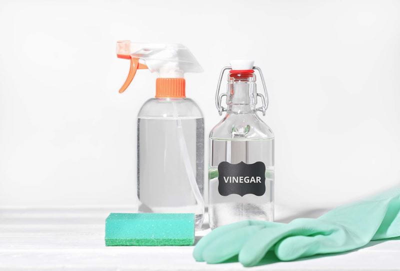 white vinegar and a spray bottle