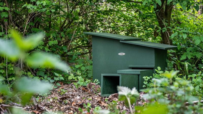 A hedgehog highway in an urban garden in London UK. The gap in the wooden fence is large enough to let wildlife, including hedgehogs and badgers, roam freely from garden to garden