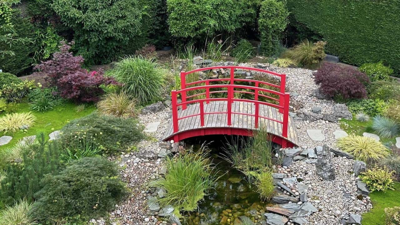 Japanese wooden arched bridge, painted in vibrant red, spans a tranquil garden adorned with untamed vegetation