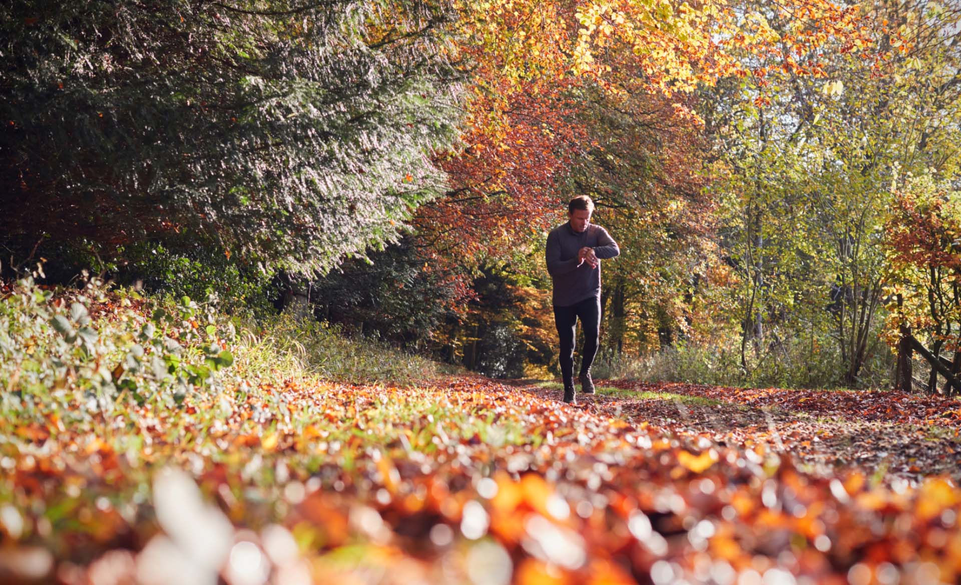 Man out running on leafy pathway checking fitness tracker