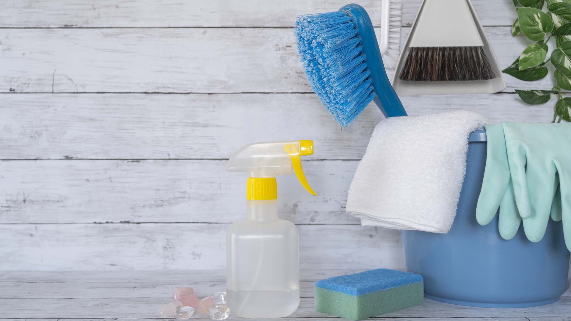 A carpet cleaning kit