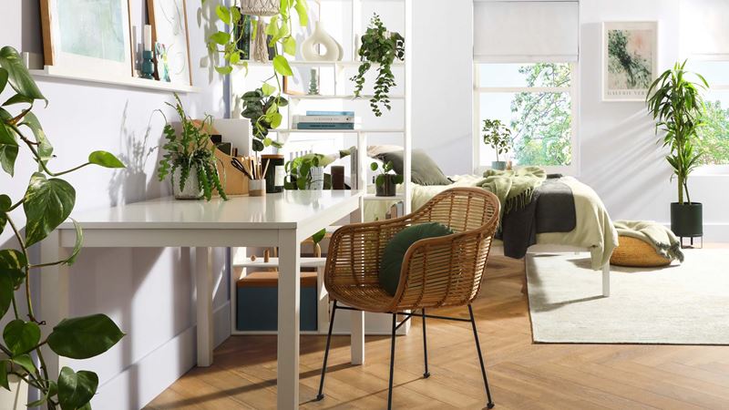 a spare room being used as an office and filled with many plants