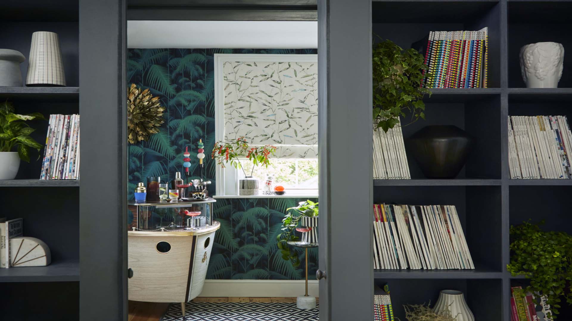 shelves holding records and books 