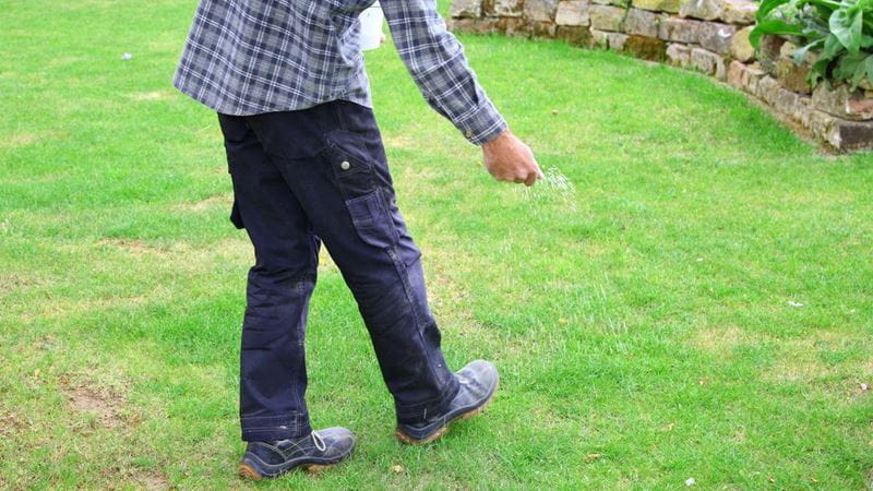 one man farmer is fertilizing the lawn soil. male hand of worker, Fertilizer For Lawns in springtime for the perfect lawn. lawn fertilizer in man's hand on garden background.