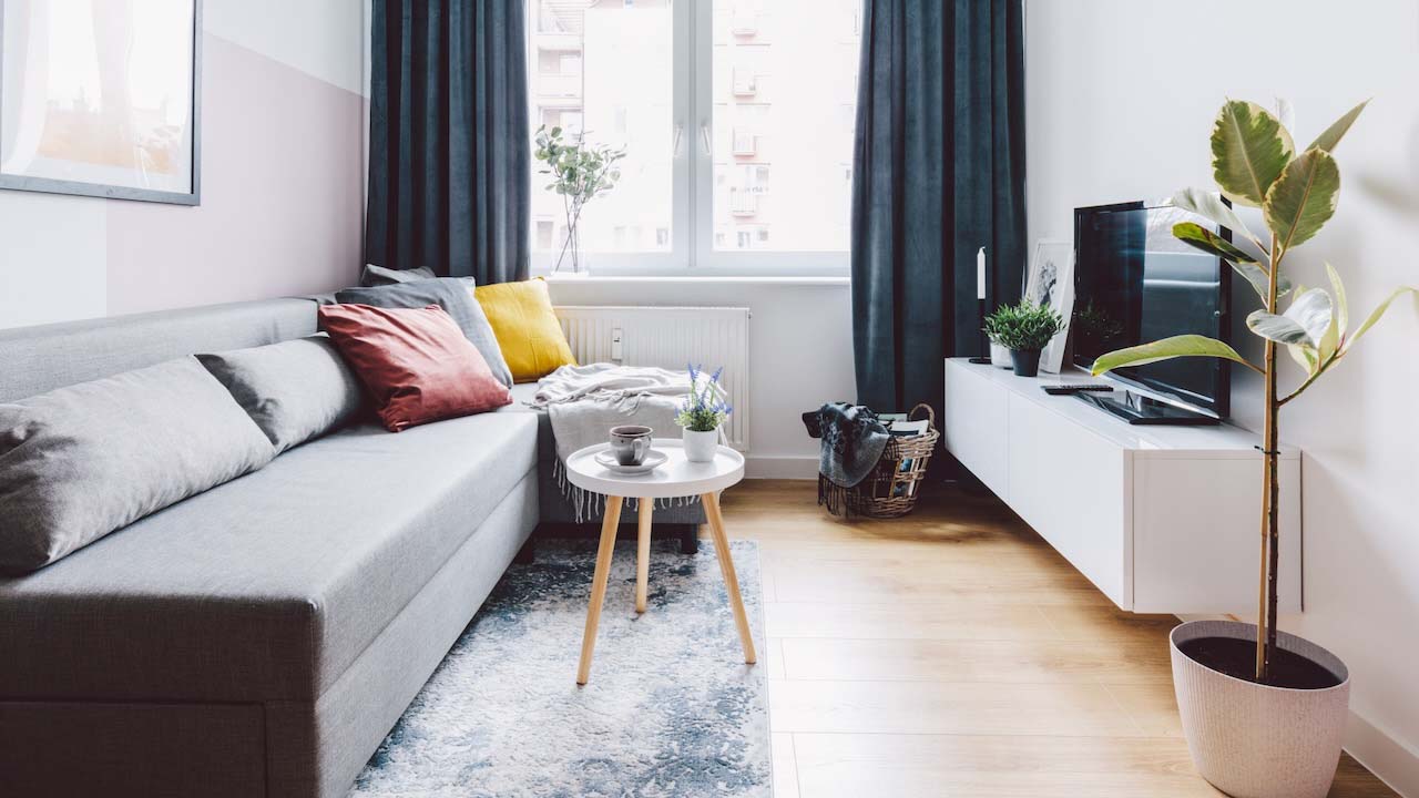 Interior of small apartment living room. Real estate rent and home staging