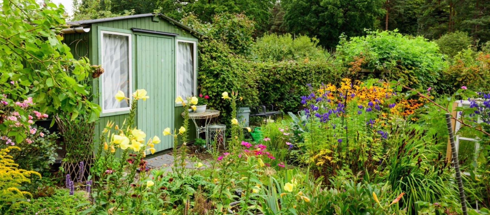 A garden office in a garden full of plants