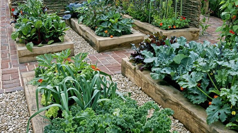 Garden designs