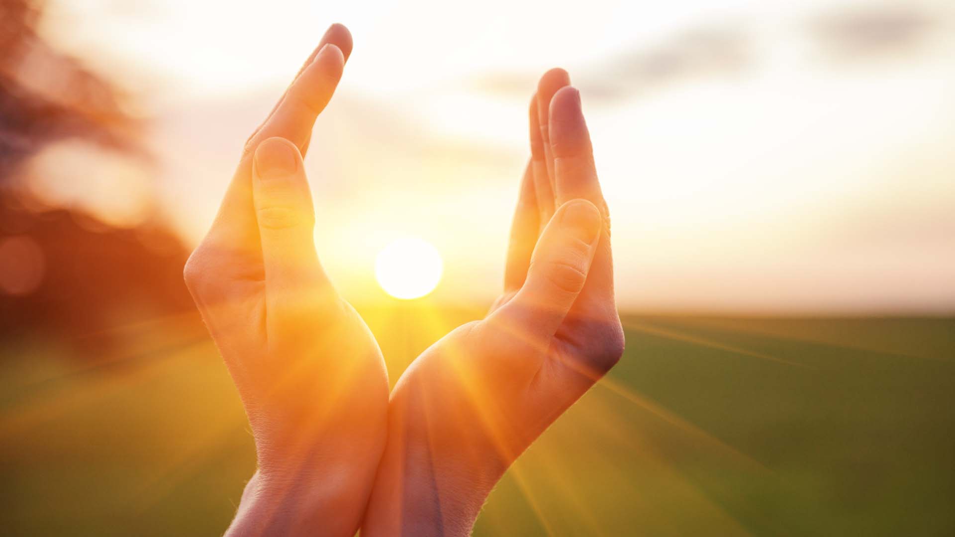 holding hands up to sunlight