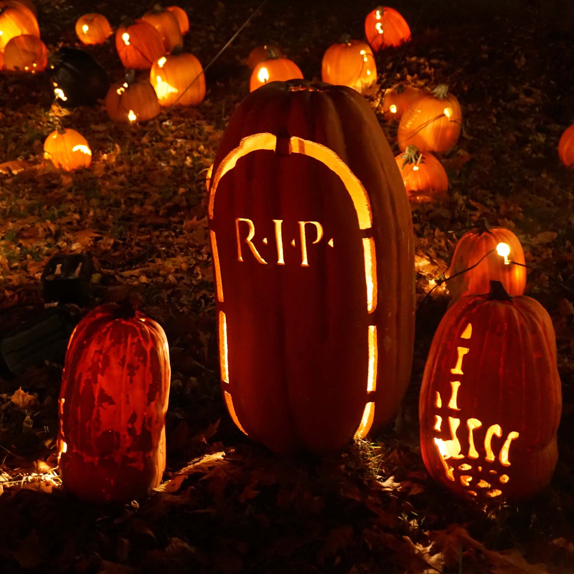 A pumpkin carved to look like a gravestone