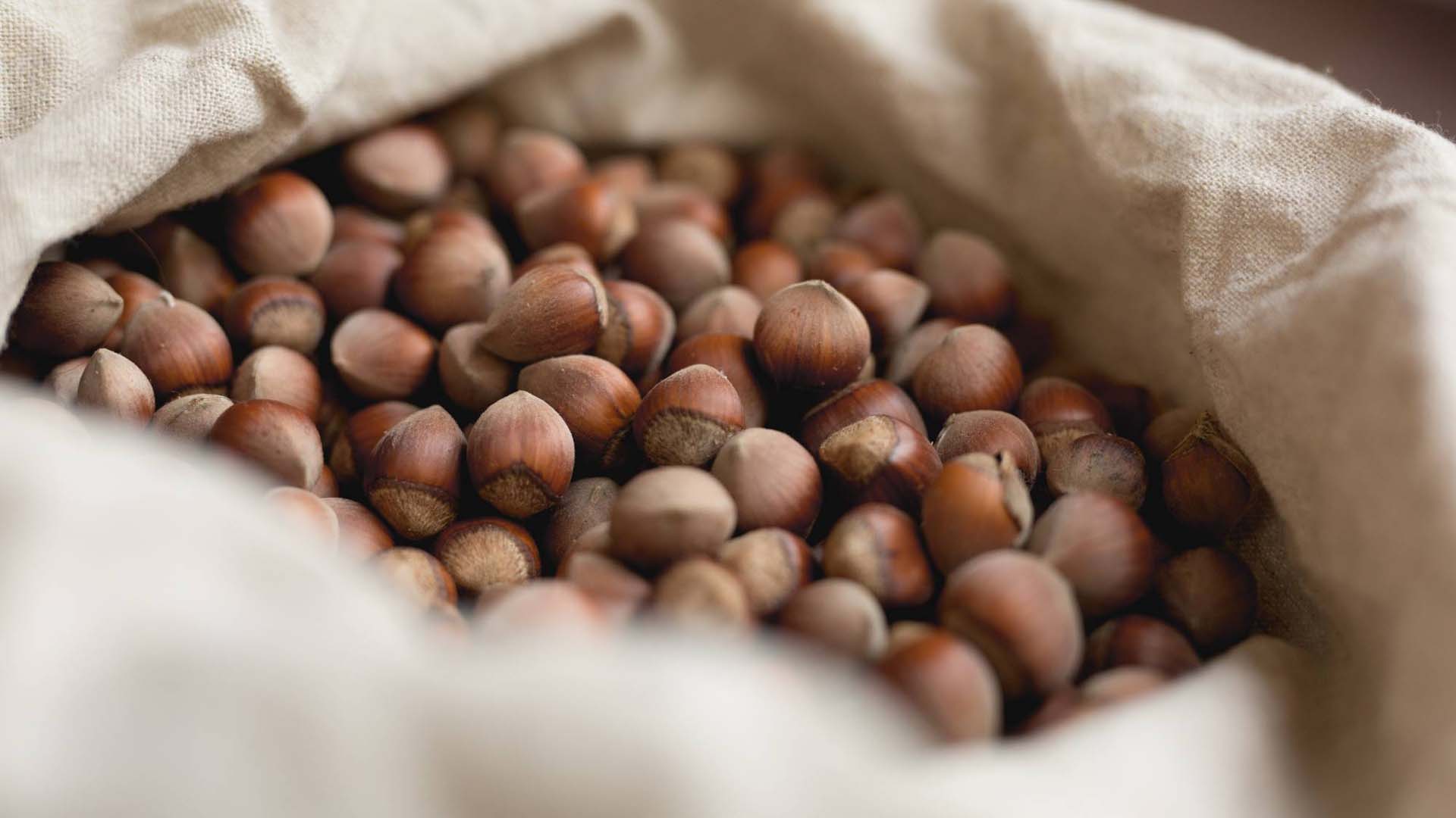 Hazelnuts in a cloth