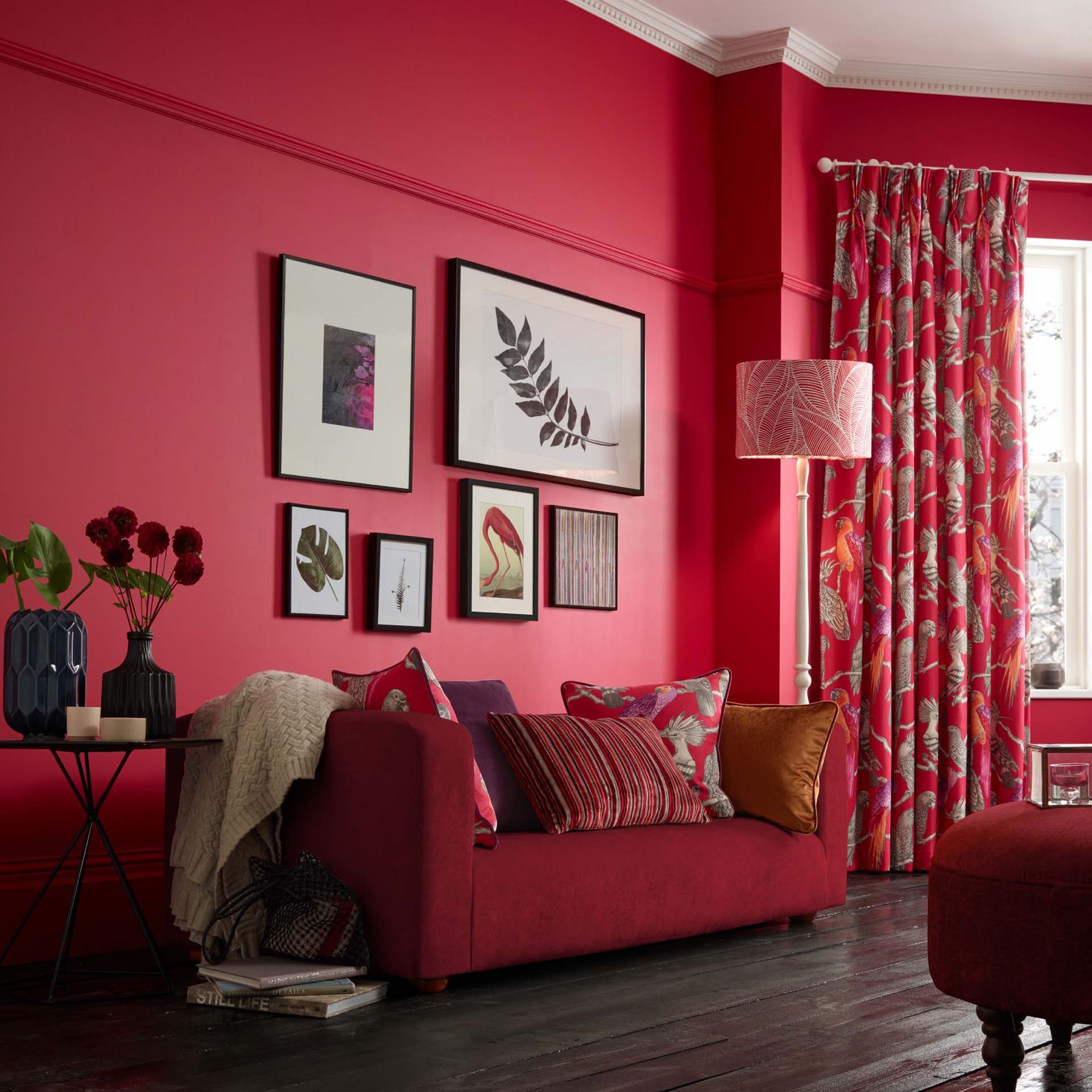pomegranate walls in a lounge