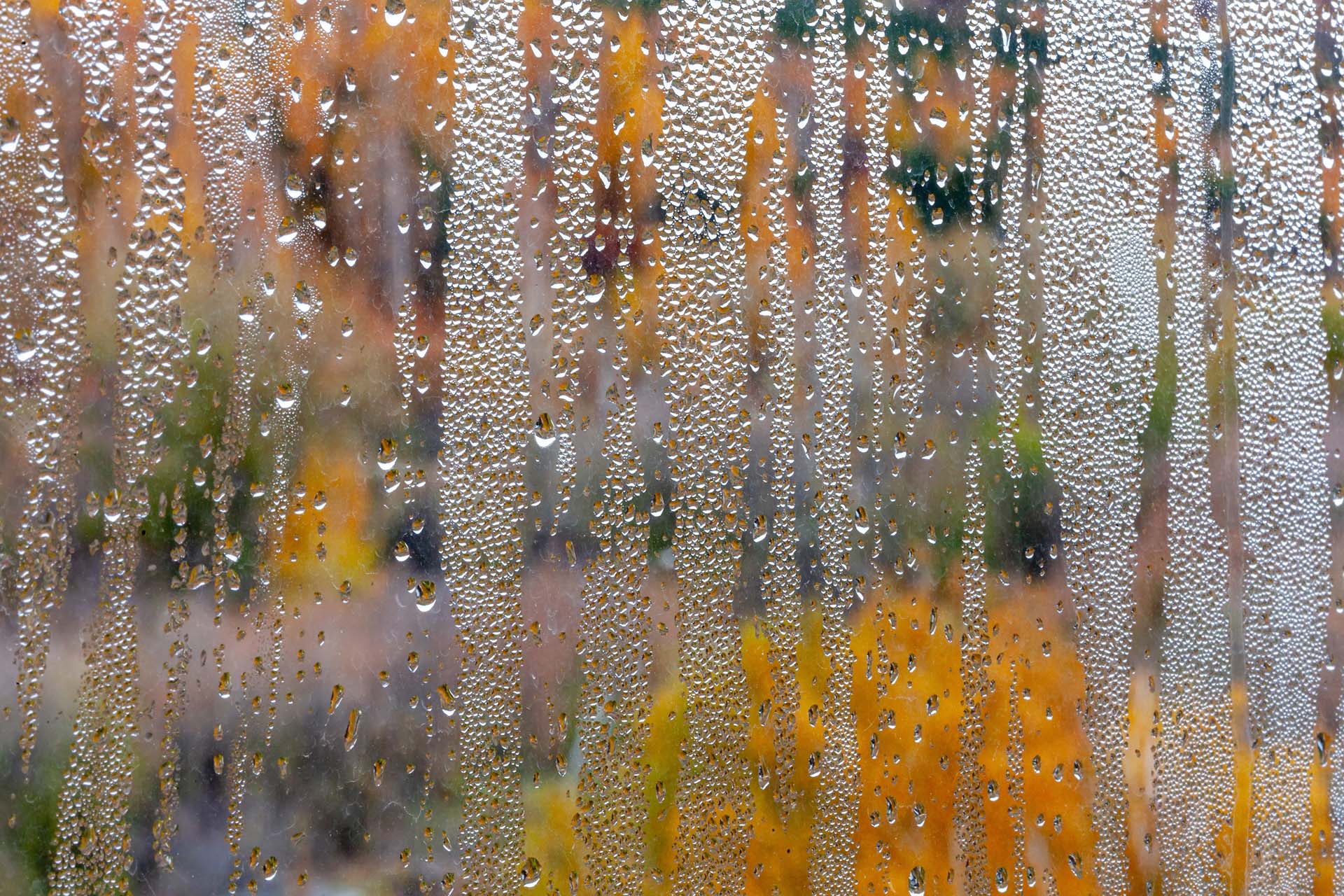 Heavy condensation on a window
