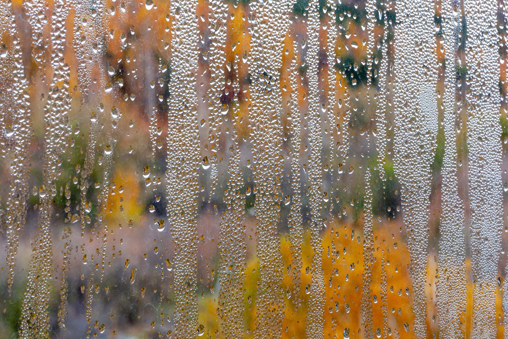 Heavy condensation on a window