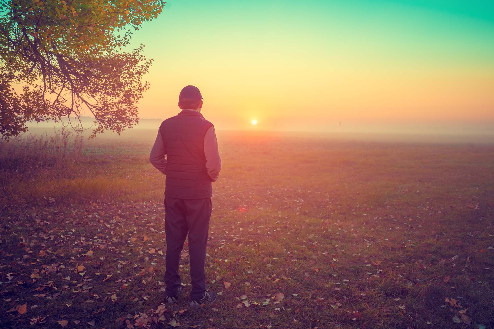 A silhouetted figure looks out across a field as the sun sets