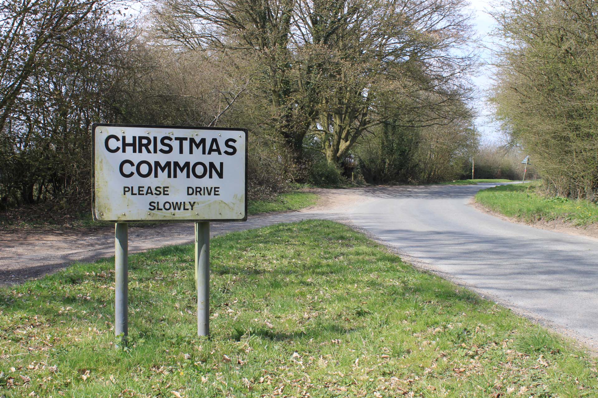 Christmas Common for a Christmas day walk