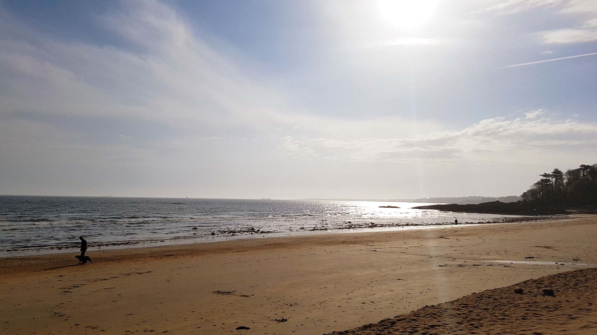 Sun is out at Crawfords Burn country park