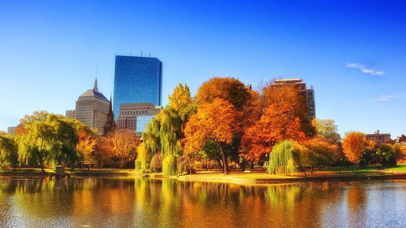 Autumn foliage at Boston Common