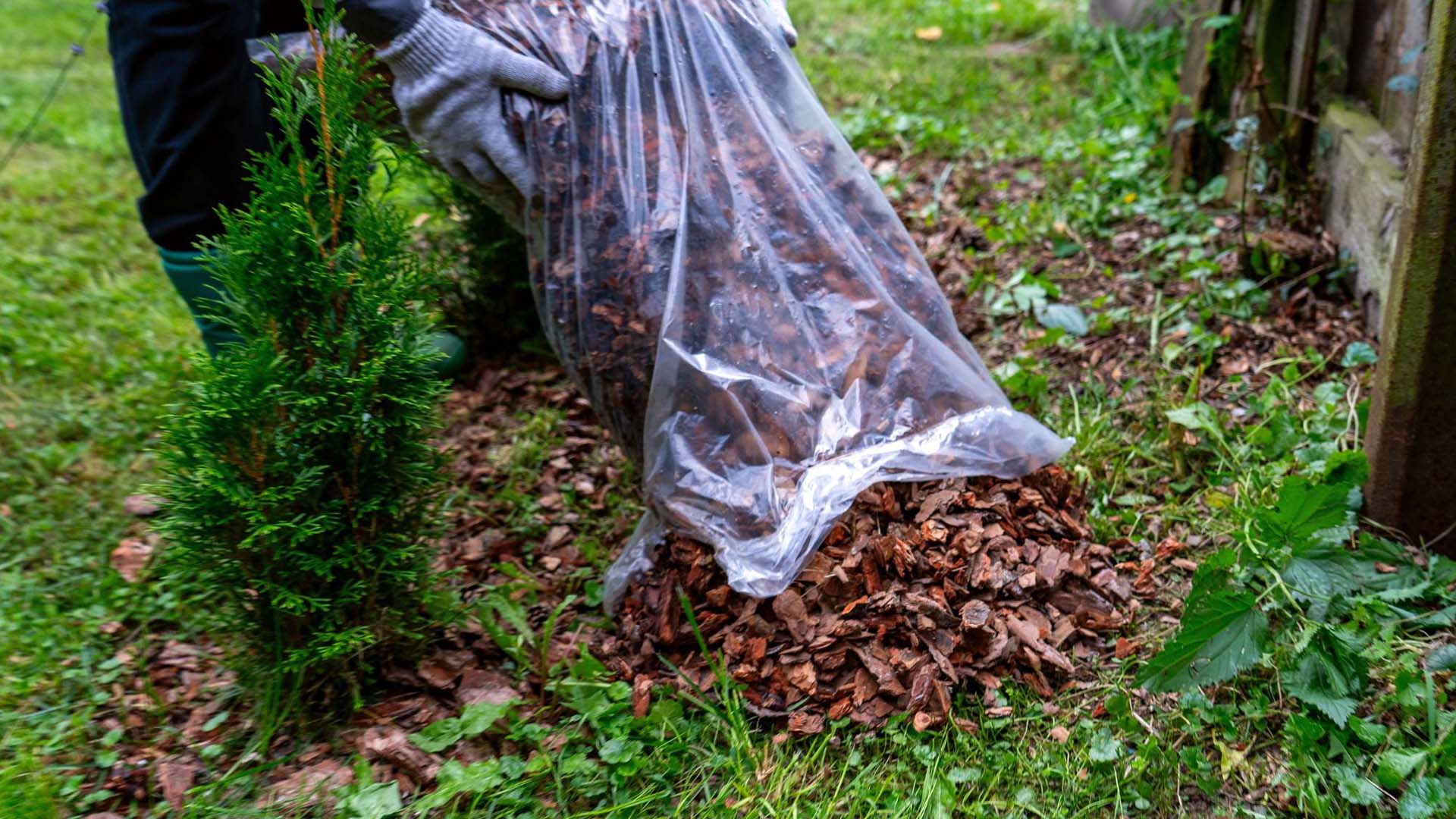 A woman adding mulch to her garden in winter