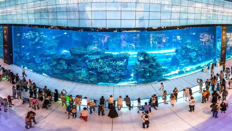 The aquarium at Dubai Mall