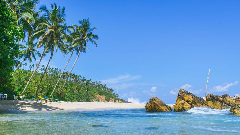 Tropical beach in Sri Lanka, Mirissa