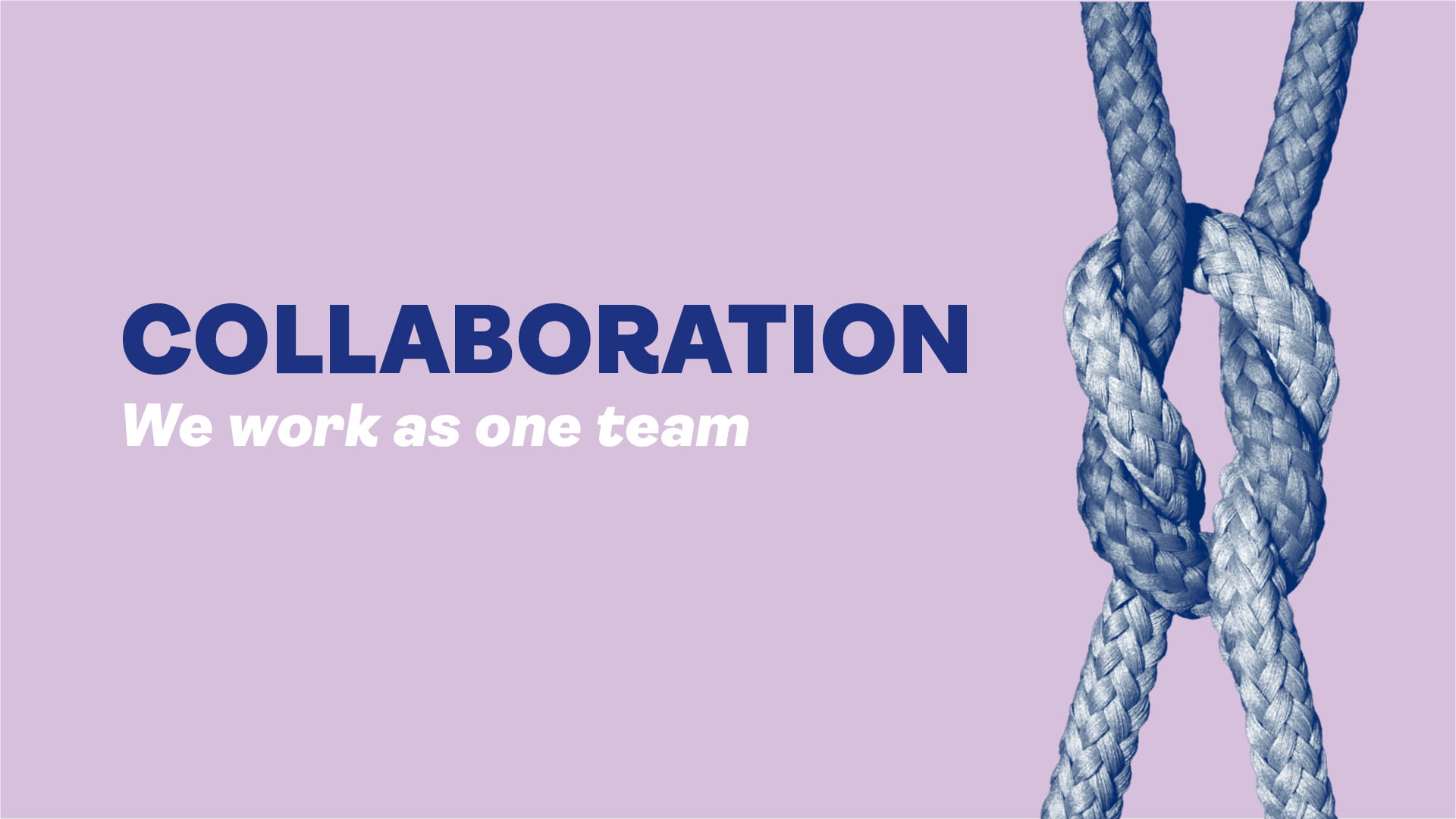 Purple background with a knotted rope. Text reads: collaboration - we work as one team