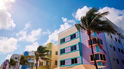 Colourful buildings fronted by palm trees